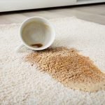 How to Get Coffee Stains Out of Carpet