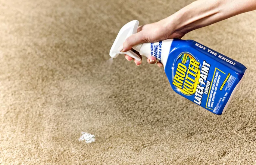 Get Rid of Latex Paint From Your Carpet
