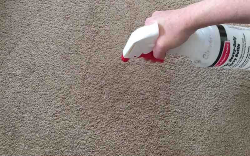 white vinegar to remove dog pee 1