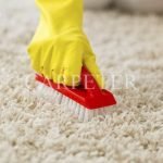 How To Wash Carpet At Home