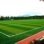 Advantages of Artificial Grass Carpets in Sports Fields