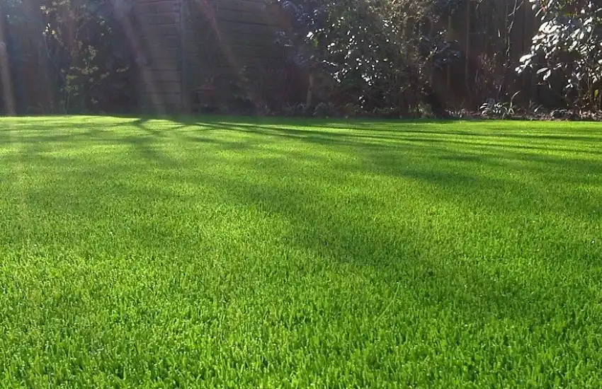 Avoid Using Any Of The Heat Sources On The Artificial Grass (1)