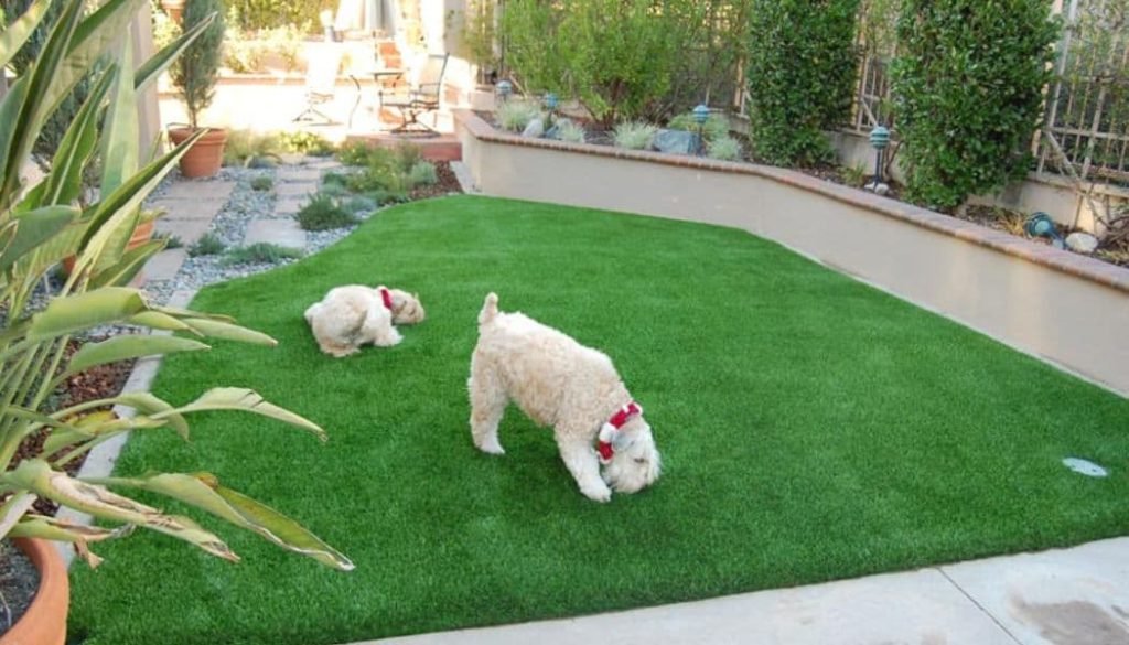 Buying Artificial Turf For Your Pet