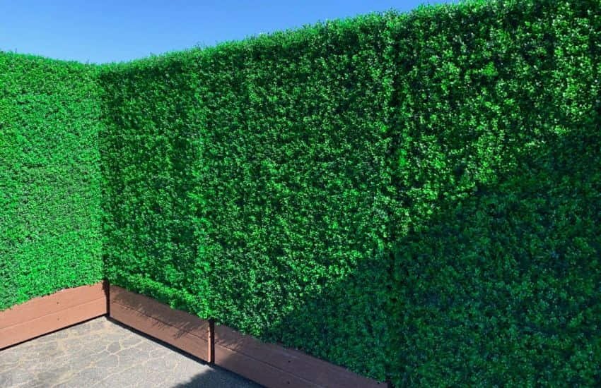 Feature Wall in Your Garden