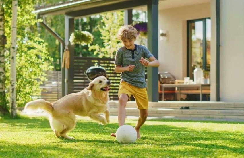 Ideal for Kids and Pets