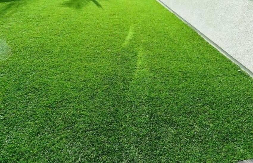 Keep Your Artificial Grass Out Of UV Rays