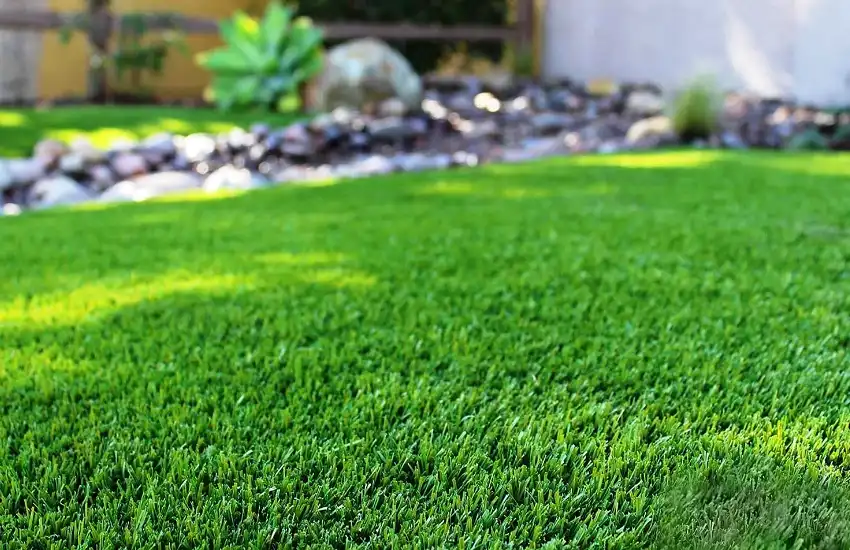 No Discolouration, Patchiness, Weeds, or Mud