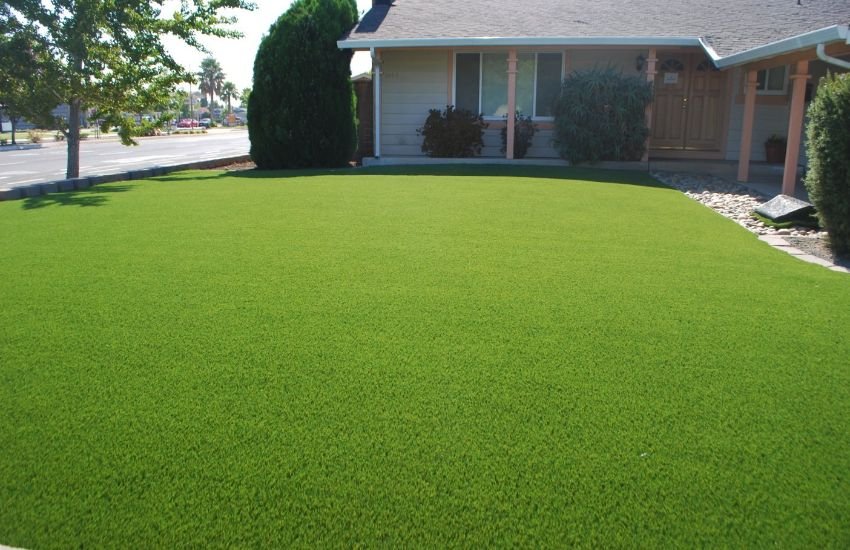 Stays Green All Year Long