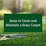 Steps to Clean and Maintain a Grass Carpet