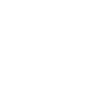 fast delivery