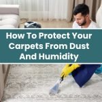 How To Protect Your Carpets From Dust And Humidity