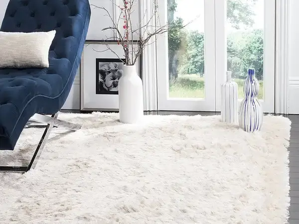 White Carpet Offers