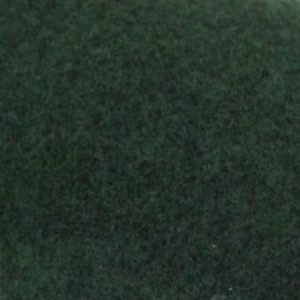 Dark Forest Green