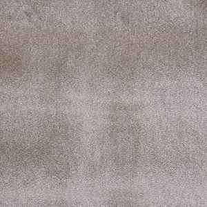 Warm Beige Cloud Carpet